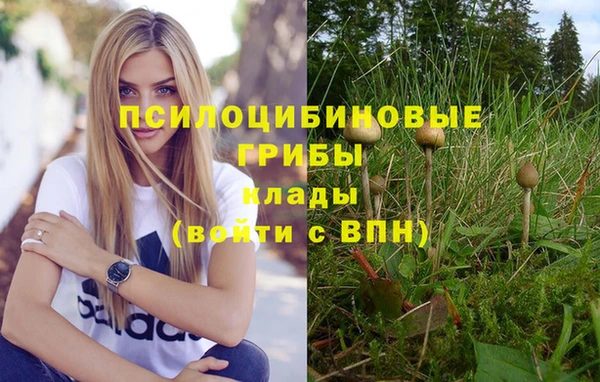 не бодяженный Волосово