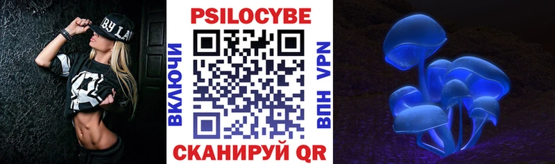 Псилоцибиновые грибы Cubensis  Купить где  Белозерск 